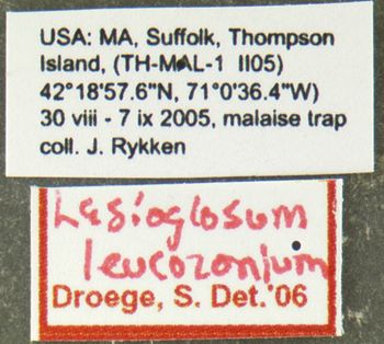 Media type: image;   Entomology 610475 Aspect: labels